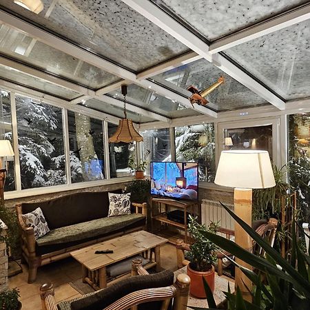 Boutique Hotel Forest Retreat (Adults Only) Busteni Bagian luar foto