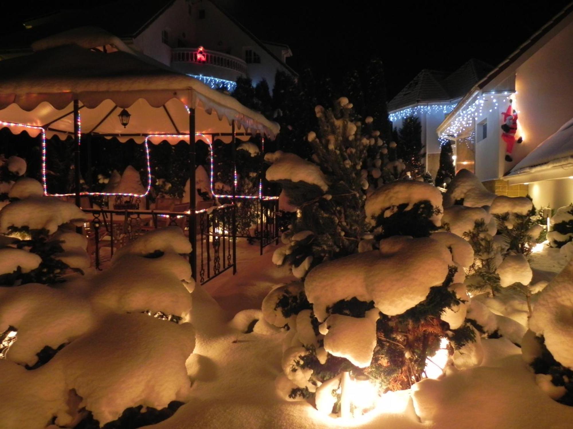 Boutique Hotel Forest Retreat (Adults Only) Busteni Bagian luar foto