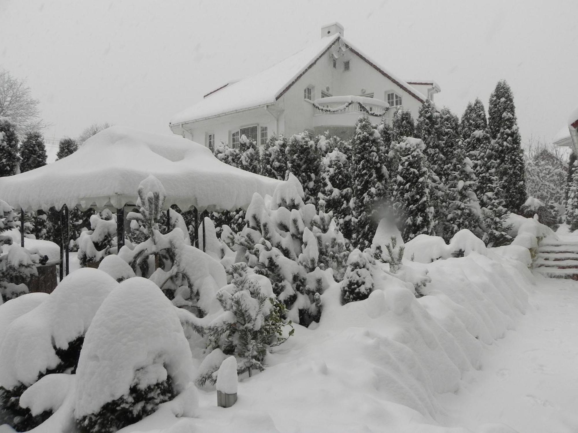 Boutique Hotel Forest Retreat (Adults Only) Busteni Bagian luar foto