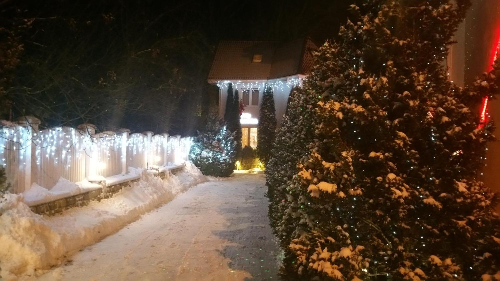 Boutique Hotel Forest Retreat (Adults Only) Busteni Bagian luar foto