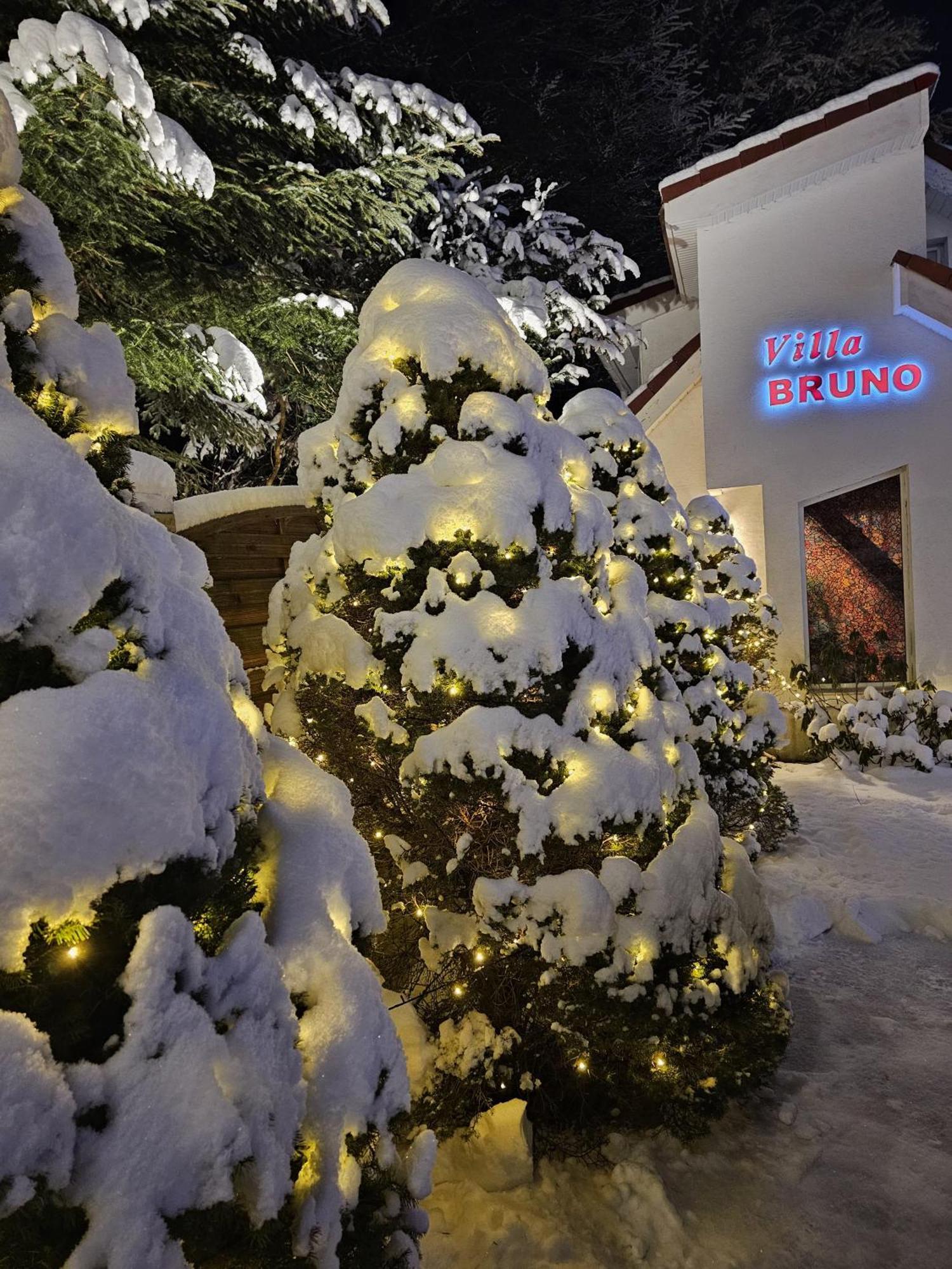 Boutique Hotel Forest Retreat (Adults Only) Busteni Bagian luar foto